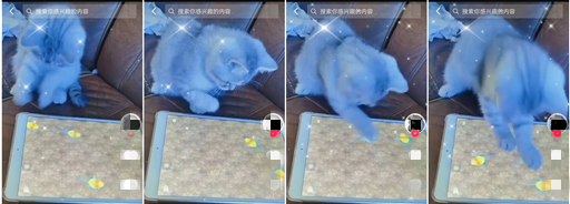 逗猫玩具app小猫捉老鼠